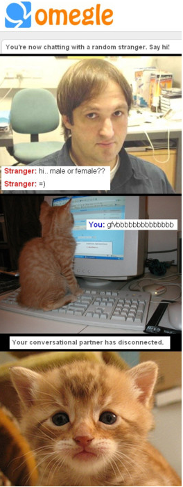 c956b7ad594c78e89e6bc55d22bf1ab6.png